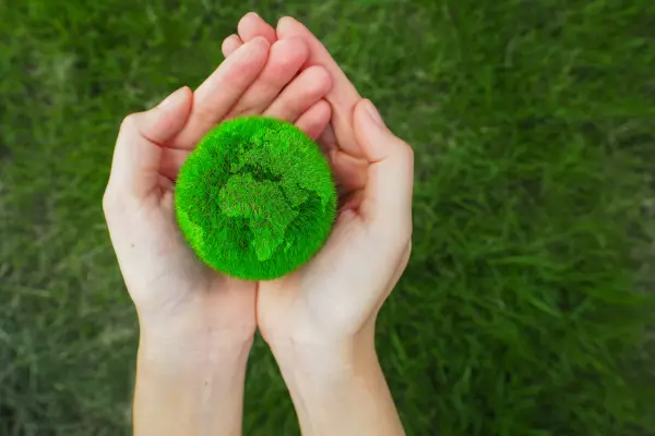 projetos diy sustentaveis